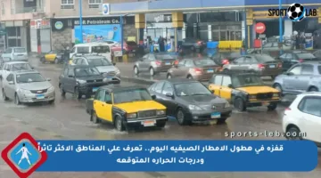 قفزة في هطول الأمطار الصيفية اليوم.. تعرف على المناطق الأكثر تأثراً ودرجات الحرارة المتوقعة